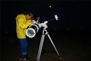 六天 在线观看  第2张